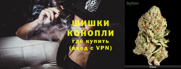 гидра Вяземский
