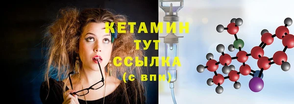 гидра Вяземский
