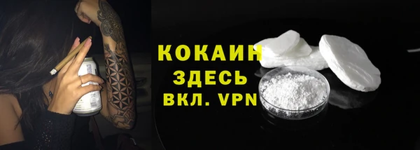гидра Вяземский