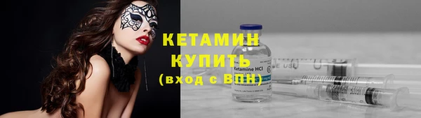 гидра Вяземский