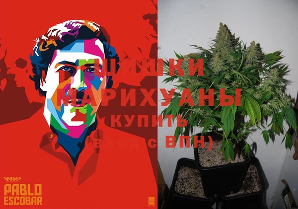 2c-b Верхний Тагил