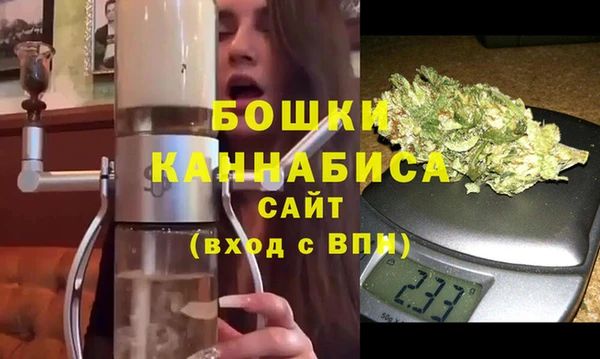 гидра Вяземский