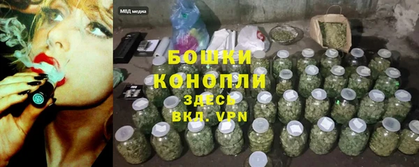 гидра Вяземский