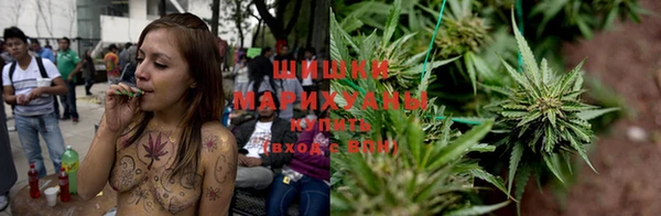 гашик Семилуки