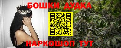spice Бийск