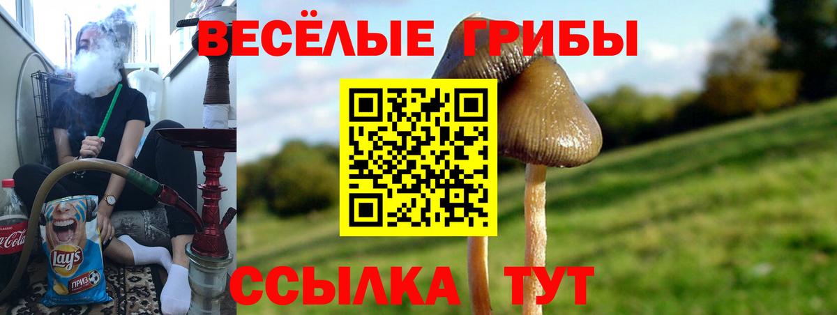 Псилоцибиновые грибы MAGIC MUSHROOMS Нижний Тагил
